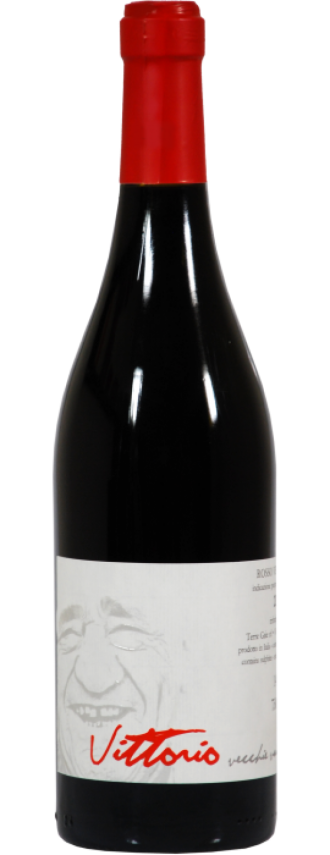 Vittorio rosso igt del veneto terre gaie