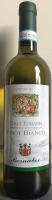 Vini dei Colli Euganei Pinot Bianco Colli Euganei Cantine Bernabei, vendita online