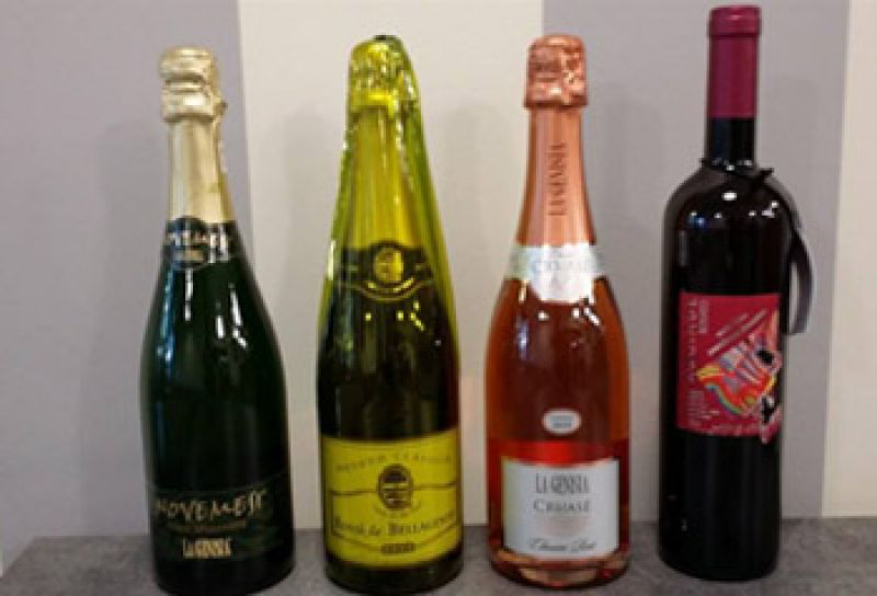 Scopri il mondo attraverso i nostri vini