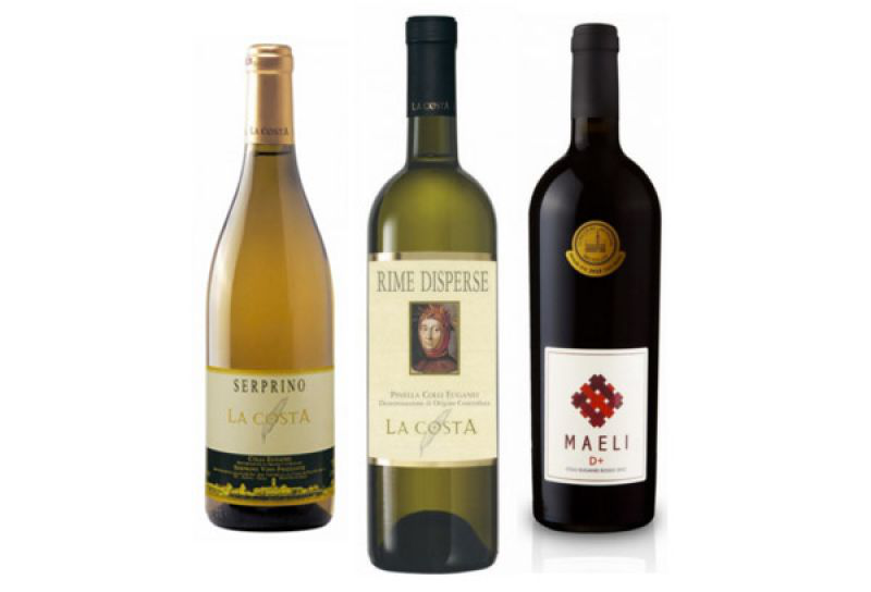 I vini tipici di padova