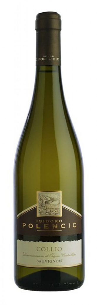 Sauvignon collio polencic