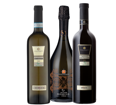 <h1><span>Vini</span> Bio Vegani</h1>
                                    <h2></h2>

                                    <p>Prova i Vini Bio Vegani</p>

