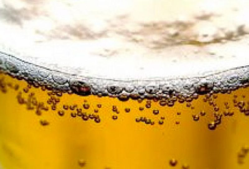 Il veneto e la birra: una tradizione di sapori